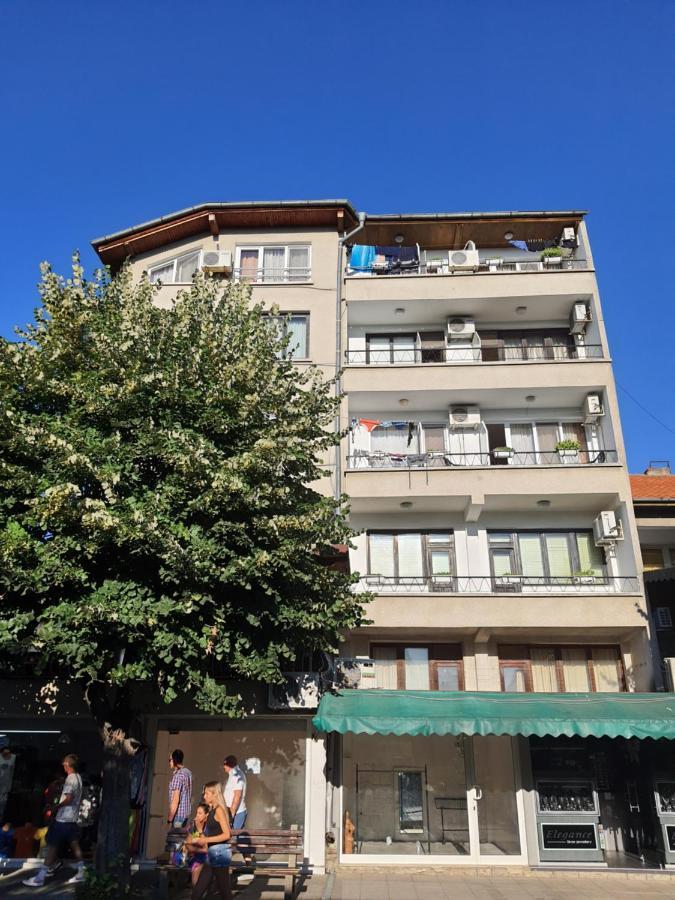 Guest House Kolev - Central ネセバル エクステリア 写真
